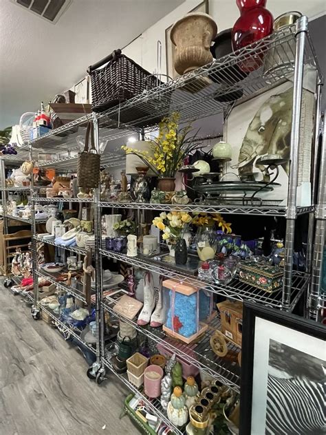 dog junkies thrift store photos